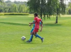 揭秘,前国安教头,斯坦利或将,博鱼体育,博鱼体育官网,H5博鱼体育官网,博鱼体育官网玩家首选