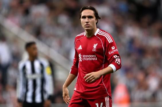 独家,周六,德甲赛事分,博鱼体育,博鱼体育官网,H5博鱼体育官网,博鱼体育官网玩家首选